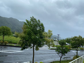 台風です~