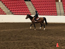 First time in the Show Ring