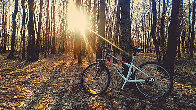 pexels-photo-815932.jpeg