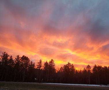 20201203_163216.jpg
