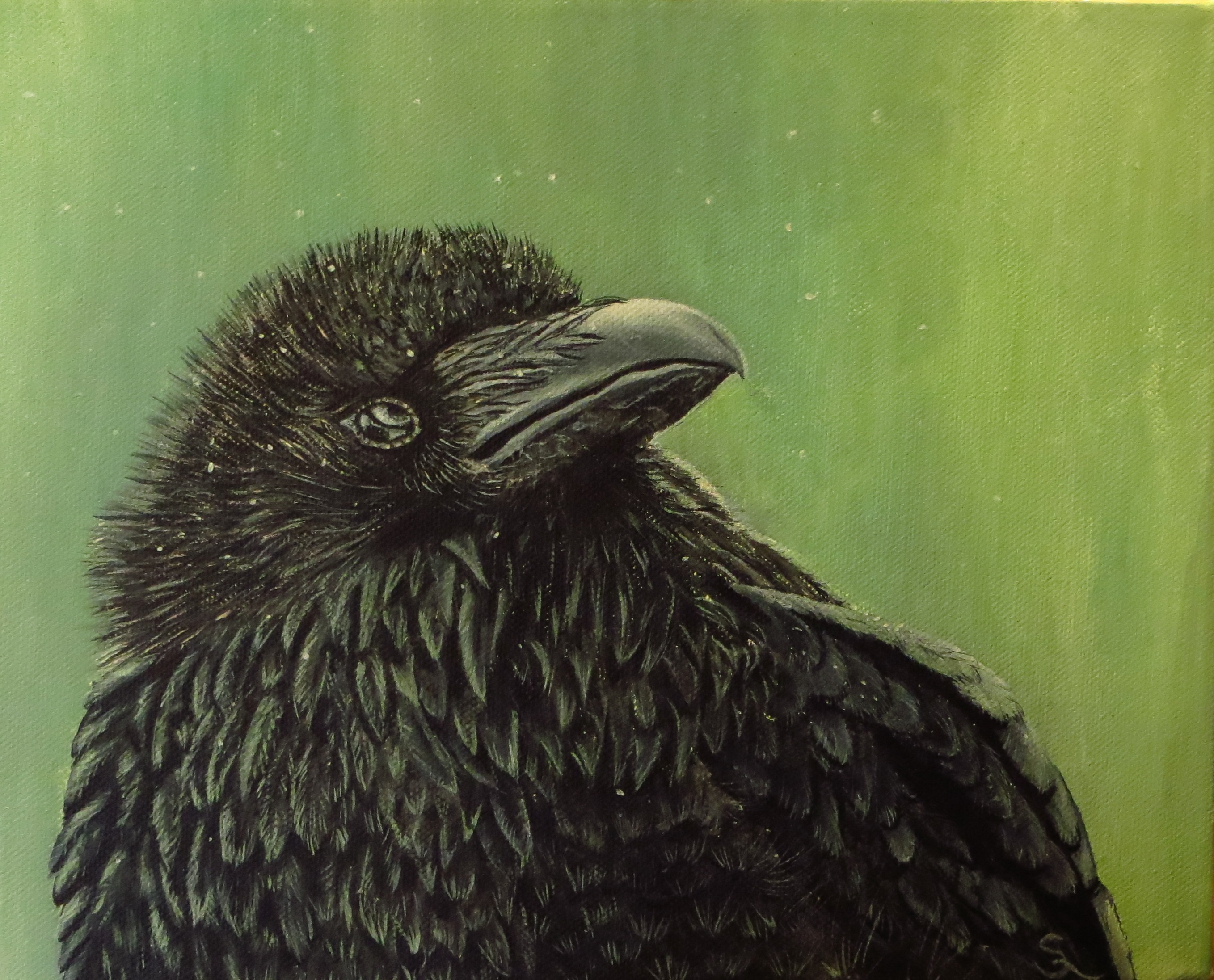 Fridolin (30x24 Acryl)