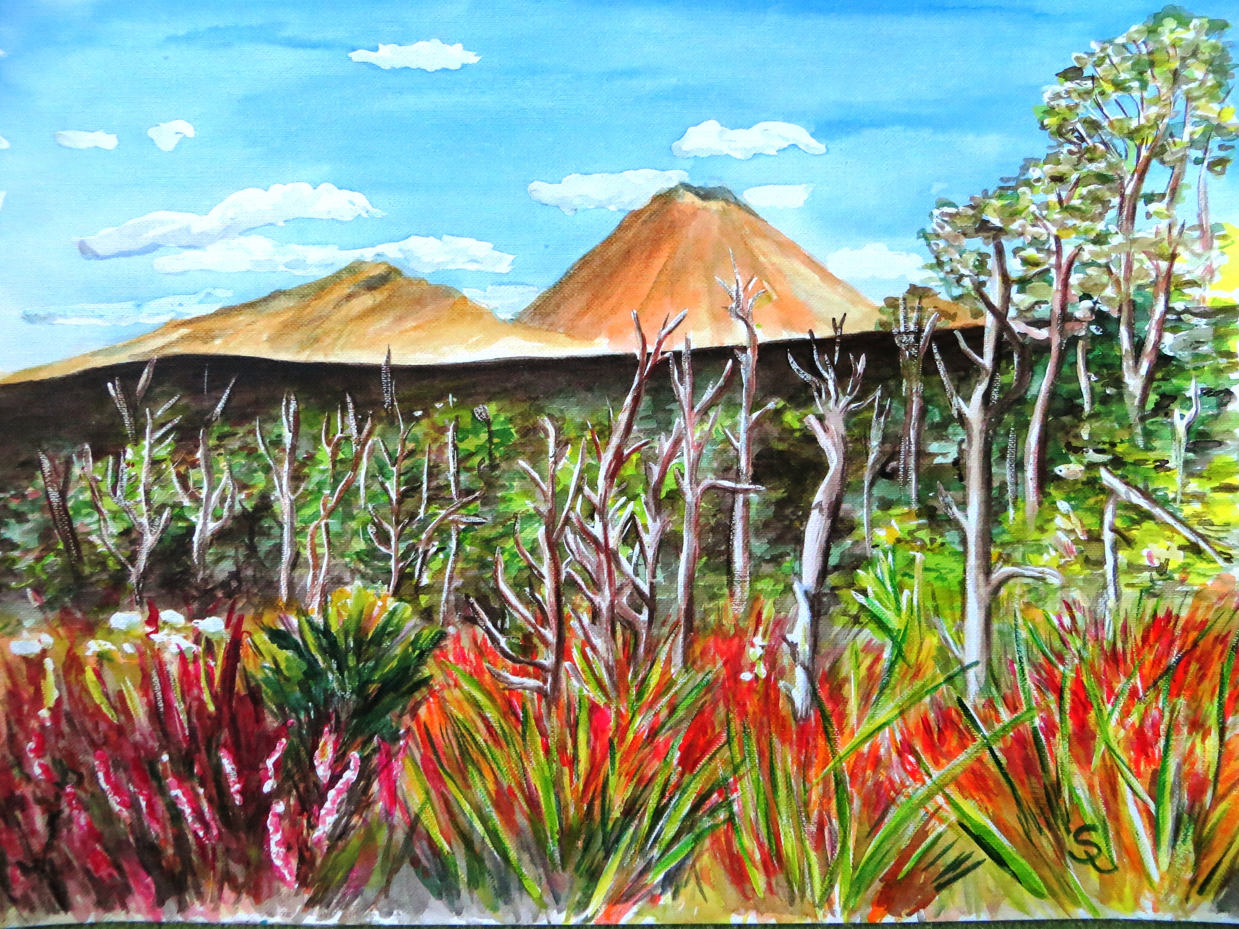 Blick zum Nganruhoe (20x30)