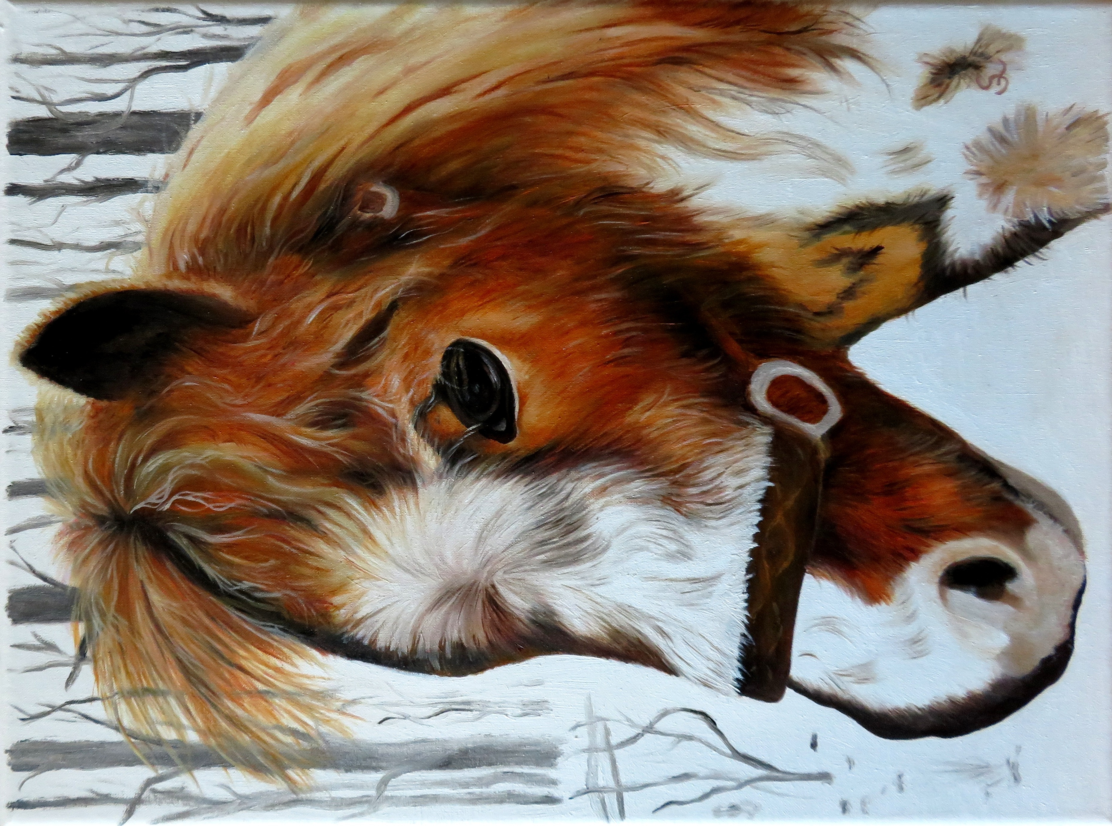 Paul (40x30) Öl auf LW
