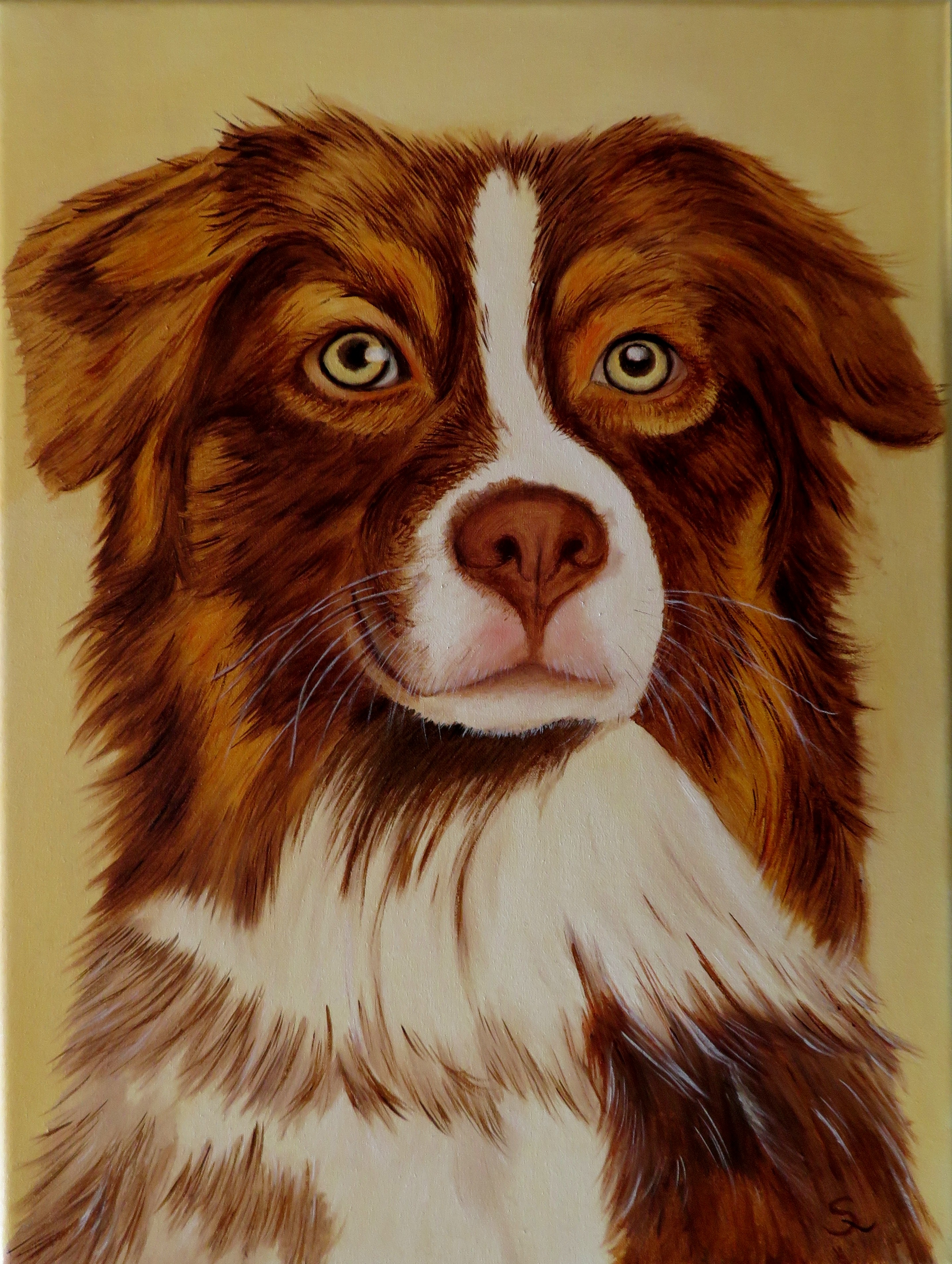Sweety (40x30)