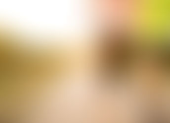 Relação entre serotonina e melatonina: Entenda como atuam na saúde física e mental.