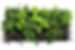 fresh herbs