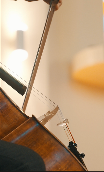 Violoncelle 1.png