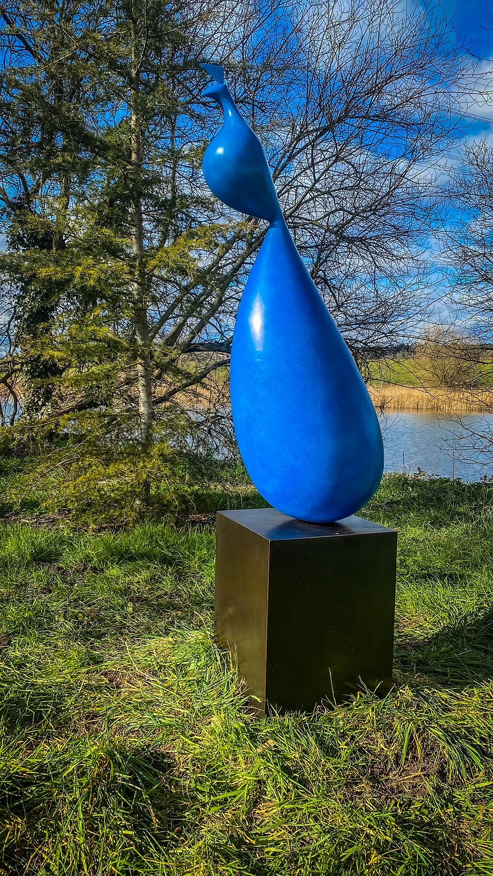 Paun (peacock)