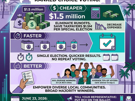 Faster, Cheaper, Better Special Elections for San Jose