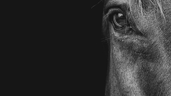 Dark Teal and Yellow Photo Travel Presentation (3).png