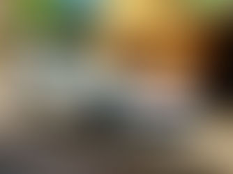 La fine del cambio manuale...