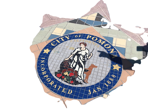 6F1C37BB-1EB7-4727-B220-2625CA24466E_edited.png