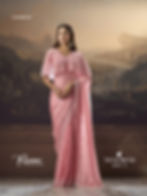 TANA BANA Organza Saree with Exquisite Handwork