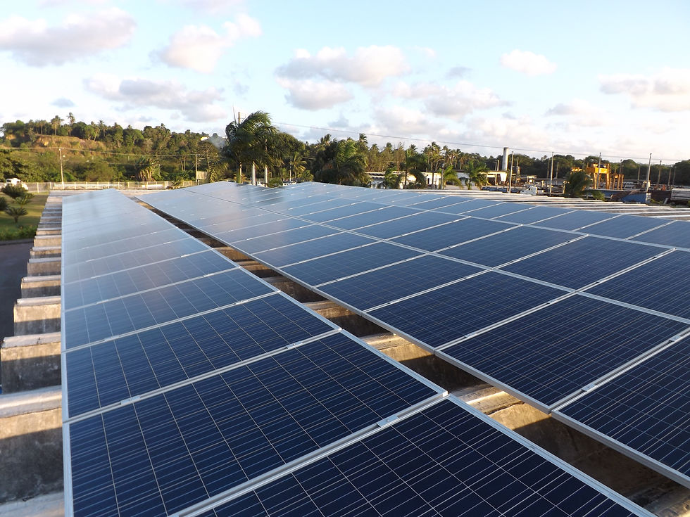 CLIENTE NOVO:Planta solar