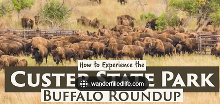 National Parks & Buffalo Roundup.png