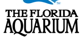 Aquarium & Dolphin Tour.png