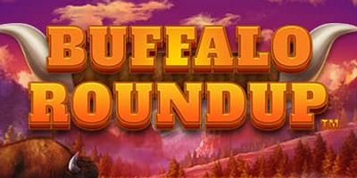 Buffalo ROundup tour.jpg