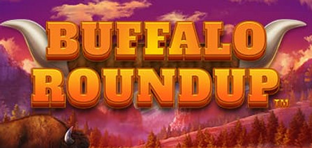 Buffalo ROundup tour.jpg
