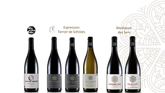 Expression de Schistes(5).png