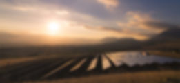 shutterstock_304731125_edited.jpg
