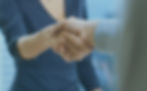 shaking hands screenshot.jpg