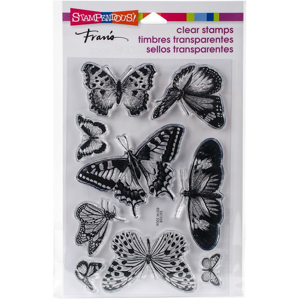 Butterfly Mania!