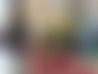 Focus Gastronomie : le Bœuf Gascon !