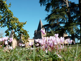 Le Château de Caumont