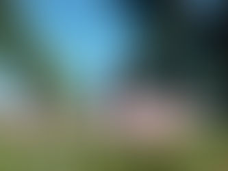 Le Château de Caumont