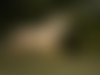 Heaven de Val Castel