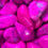 Thumbnail: Pink Howlite Tumble Stone
