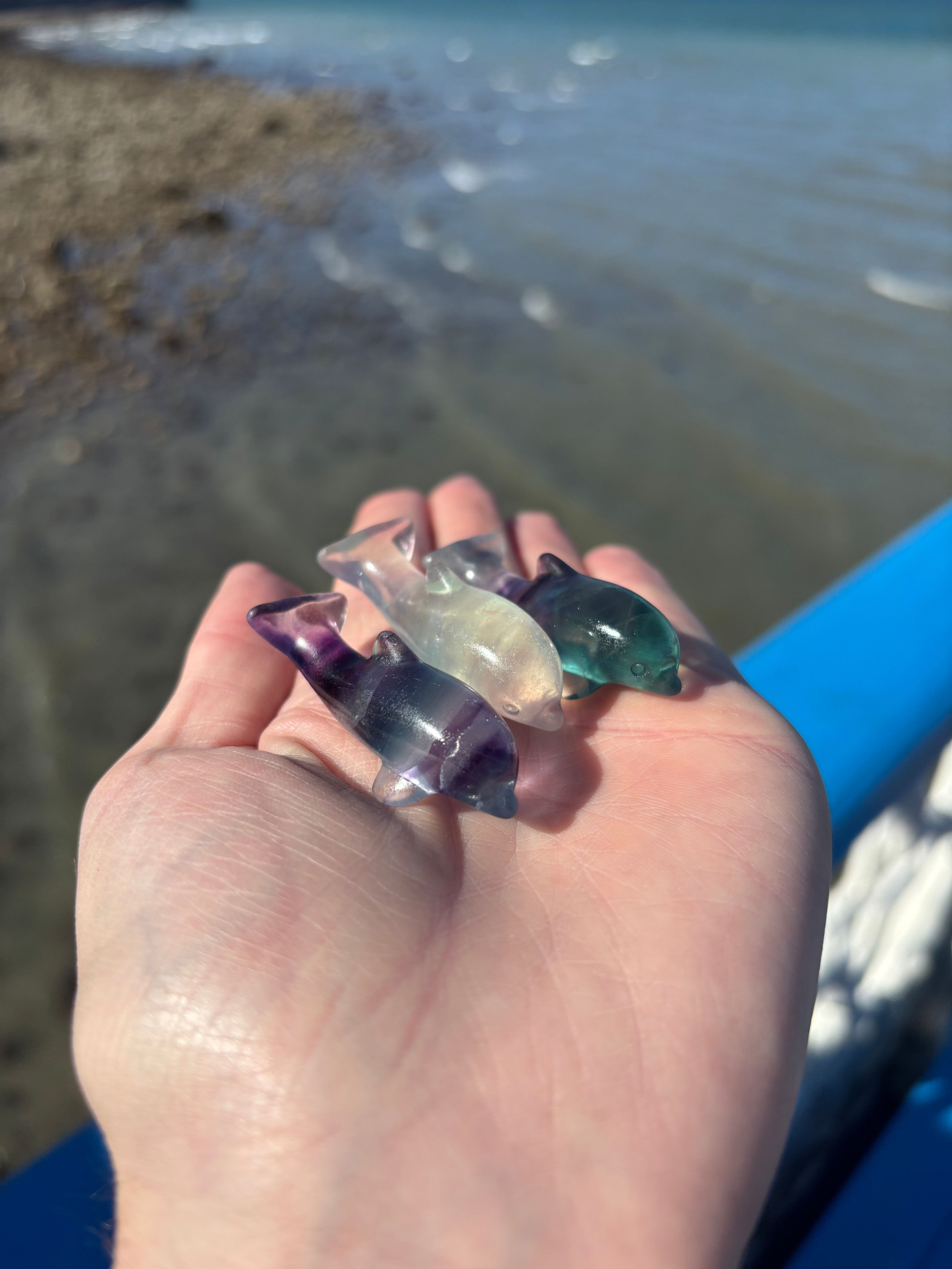 Fluorite Dolphins