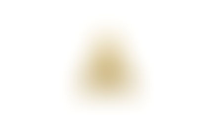 ACADEMY INVESTIGATES 13 SCIENTIFIC AND TECHNICAL AREAS
FOR 2022 AWARDS CONSIDERATION