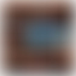 Nikki Rich seen on The Robert Irvine Show