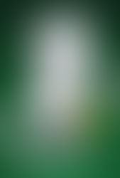 Theatrical Release for Documentary “Who Is Stan Smith?” in Los Angeles, New York in over 50 Markets Beginning on May 3rd