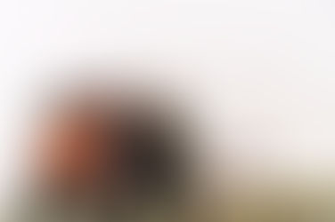 Terry Crews on Last Night’s RUNNING WILD WITH BEAR GRYLLS