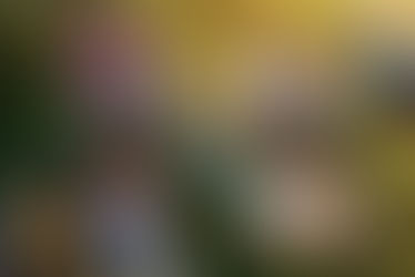 'QUEEN SUGAR' TO PARTICIPATE IN VULTURE FESTIVAL ON SUNDAY, MAY 20, 2018