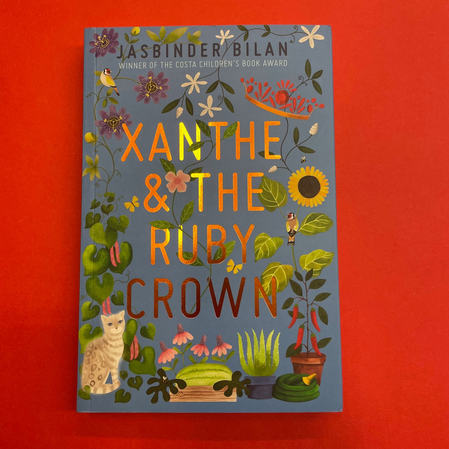 Xanthe & the Ruby Crown | Jasbinder Bilan