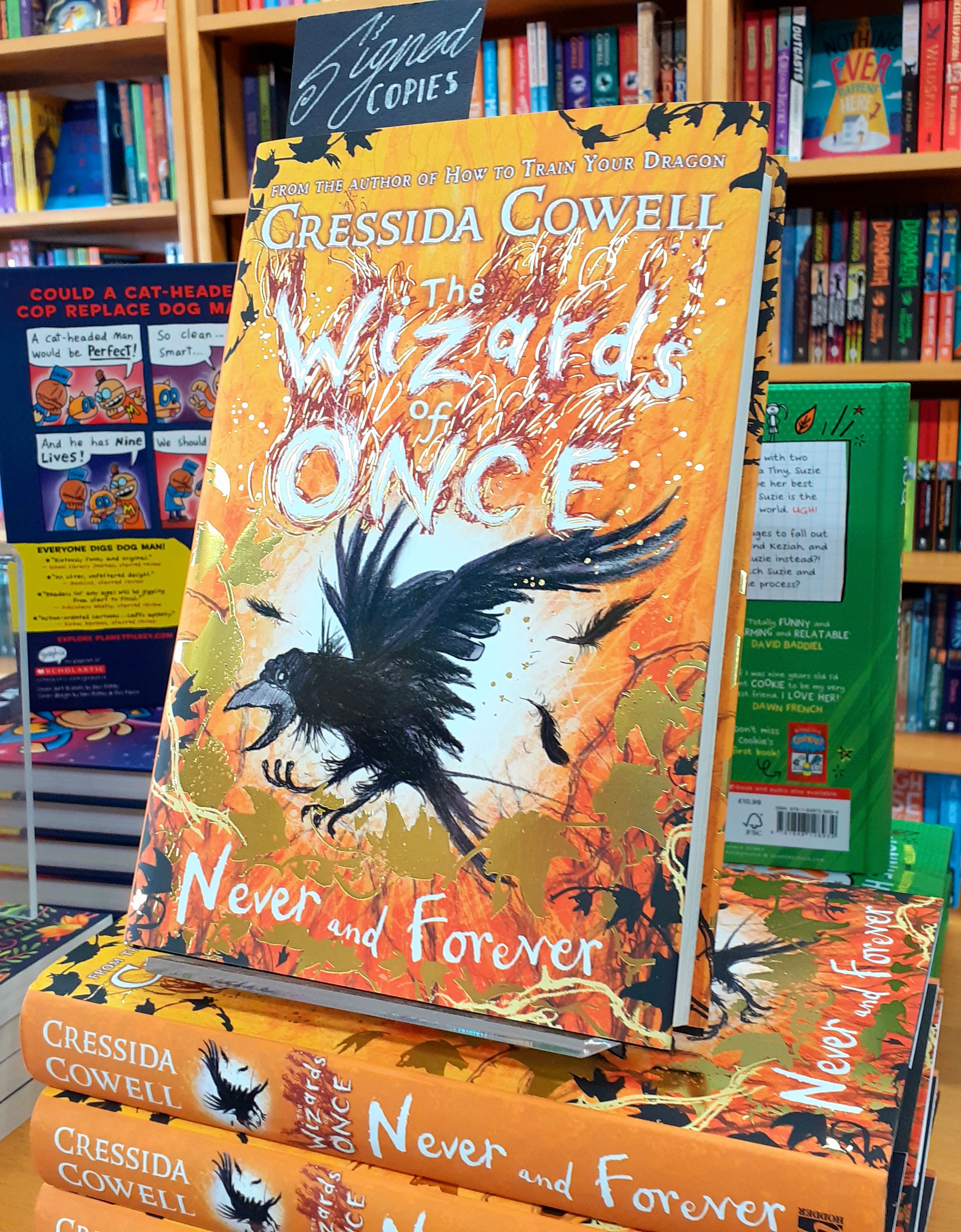 Wizards of Once | Never and Forever | Cressida Cowell