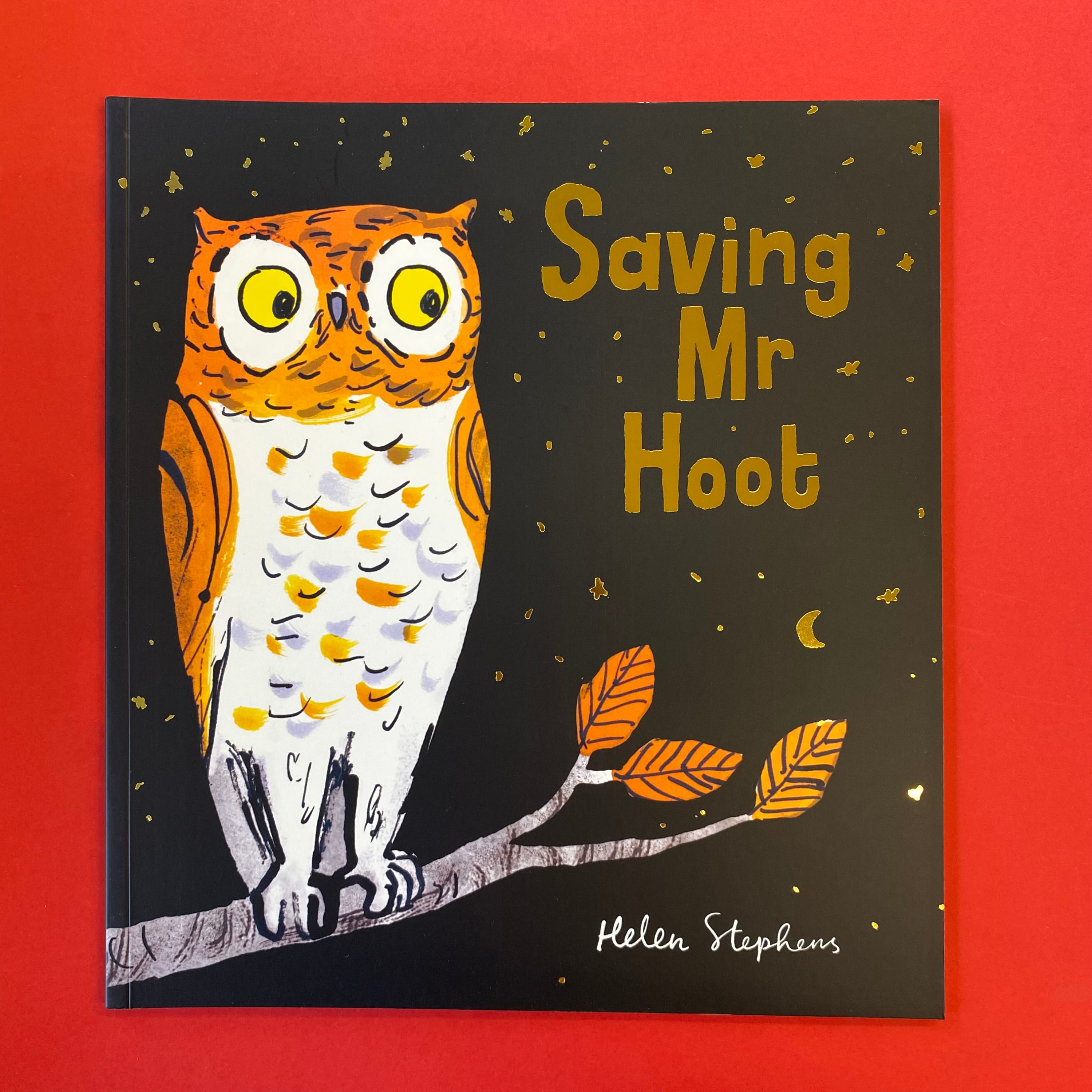 Saving Mr Hoot | Helen Stephens
