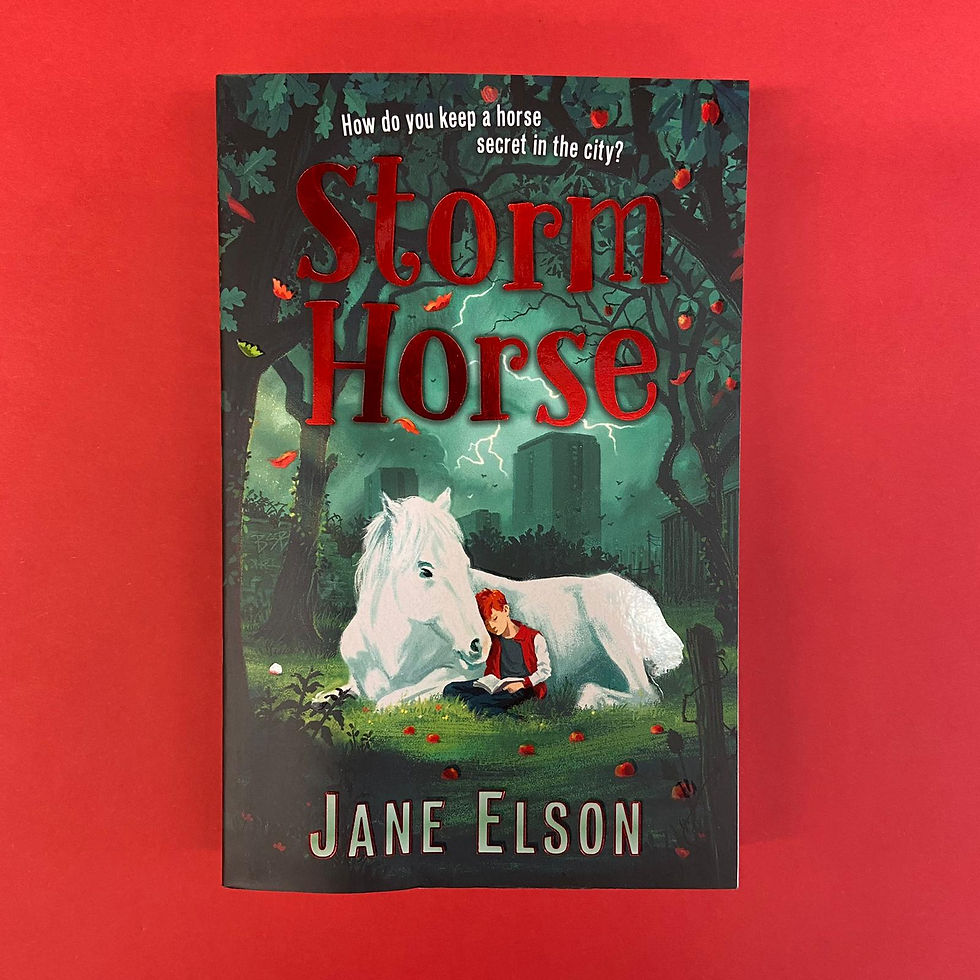 Storm Horse | Jane Elson