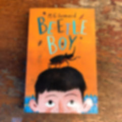 Beetle Boy Trilogy | M. G. Leonard