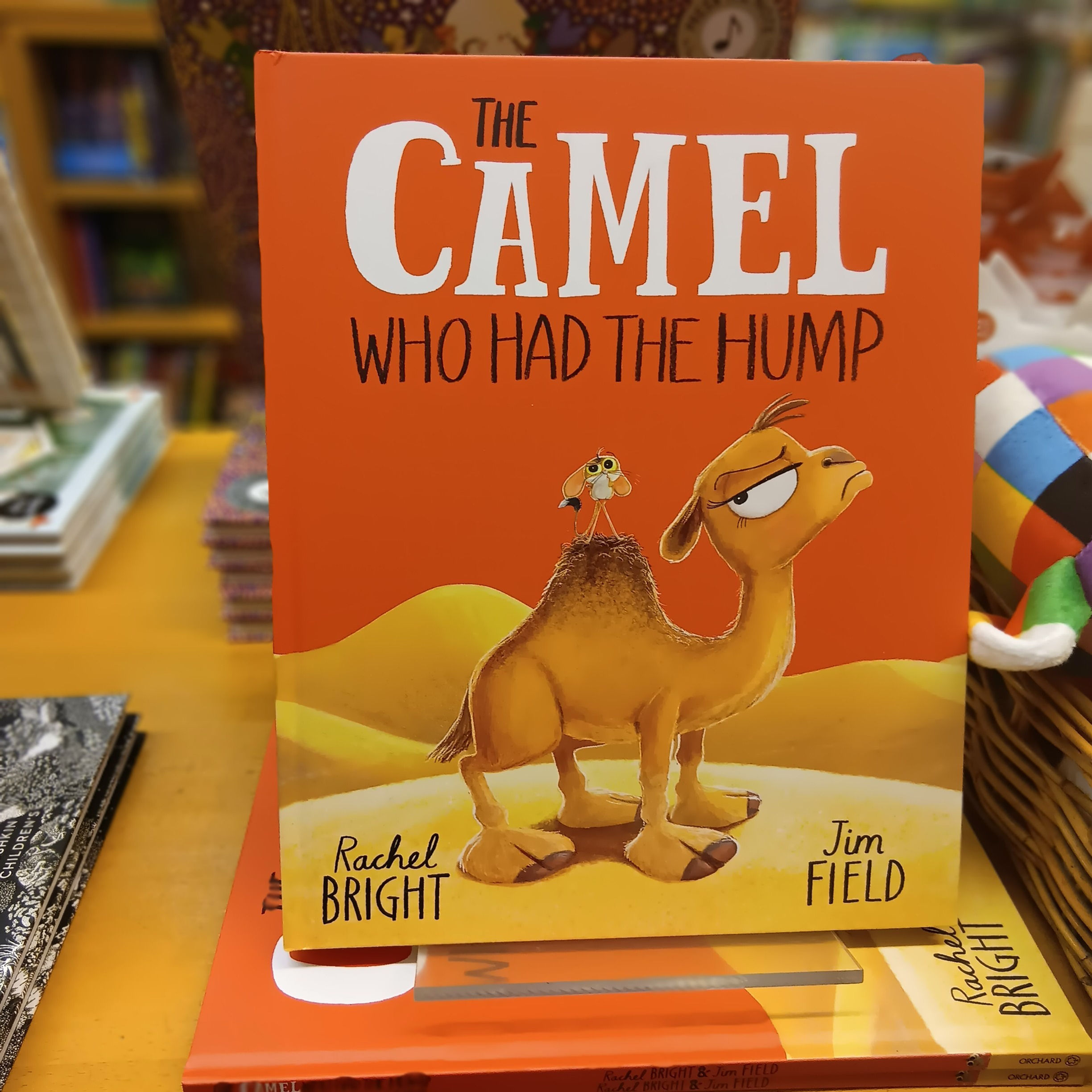The Camel Who Had The Hump | Rachel Bright & Jim Field