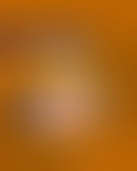 Tecnología + Servicio Personalizado