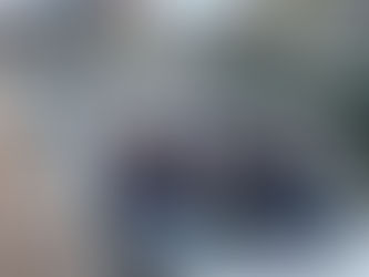 Introducing the Development Team!