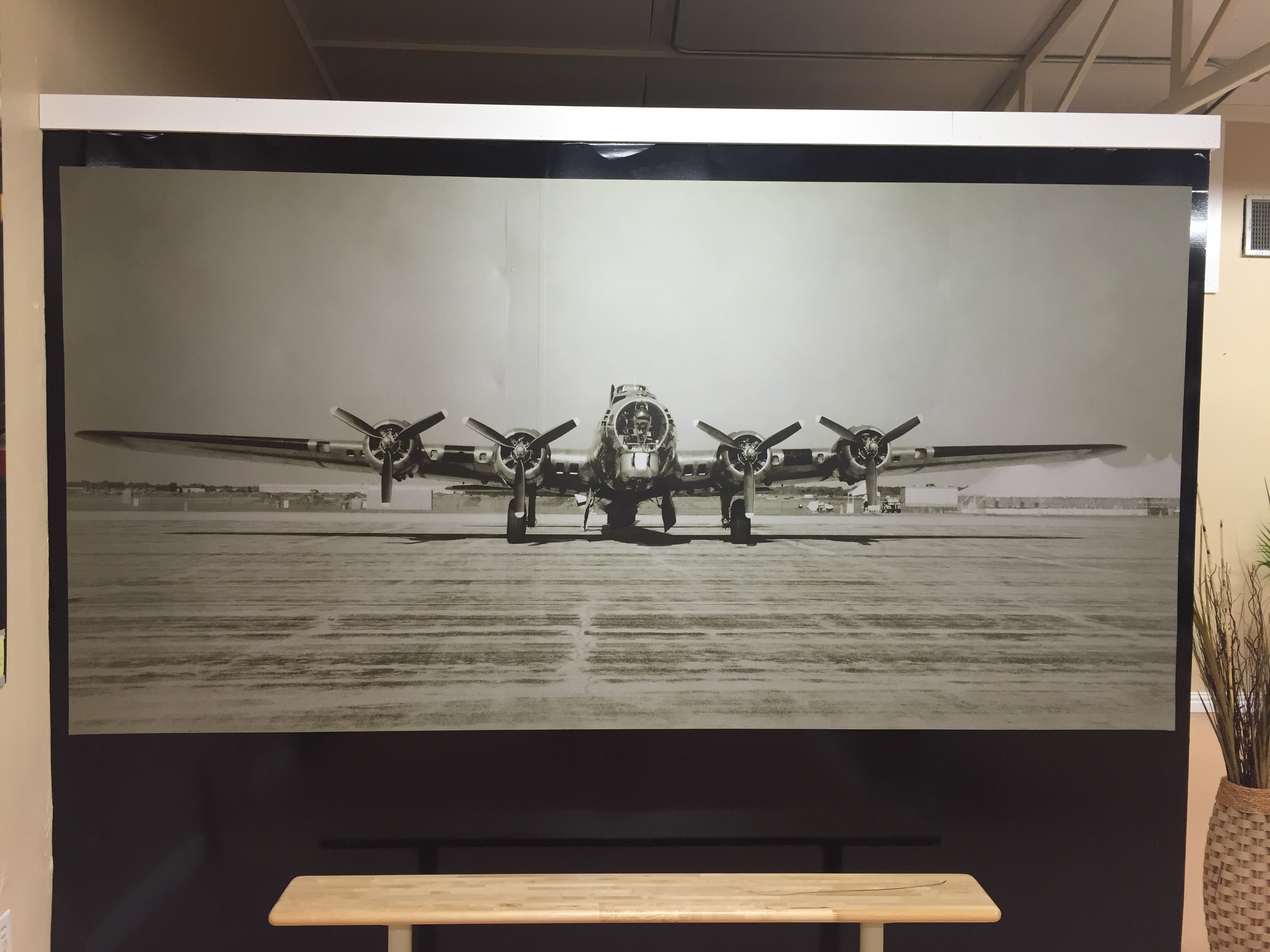 Custom Wall Graphics / Decor