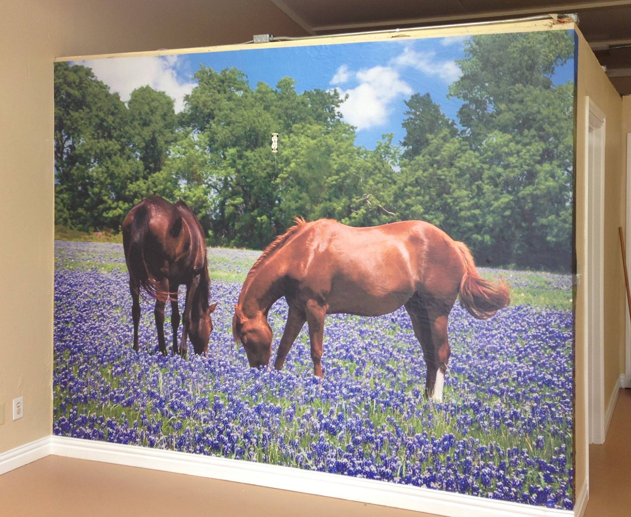 Custom Wall Graphics / Decor
