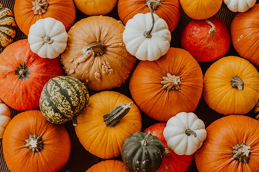 Many different colourful pumpkins