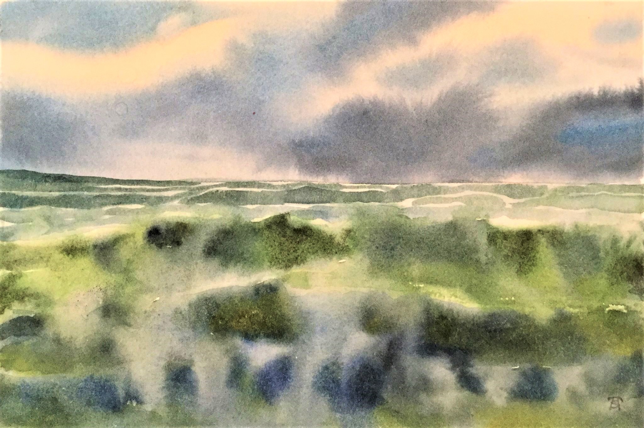 Turbulent Paific