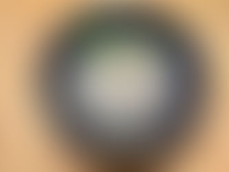 באבא גנוש משודרג ירוק(פטרוזיליה)עם צנוברים אסיאתים פלפל על האש בתחמיץ טבעוני ללא גלוטן: